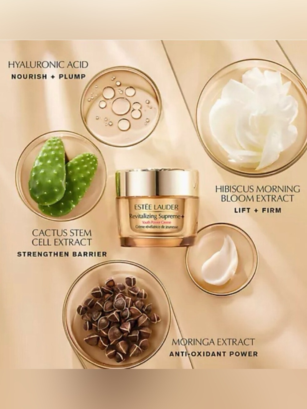 NWT Estee Lauder Revitalizing Supreme+ Youth Power Creme 2.5 ounces/75ml - Picture 13 of 16